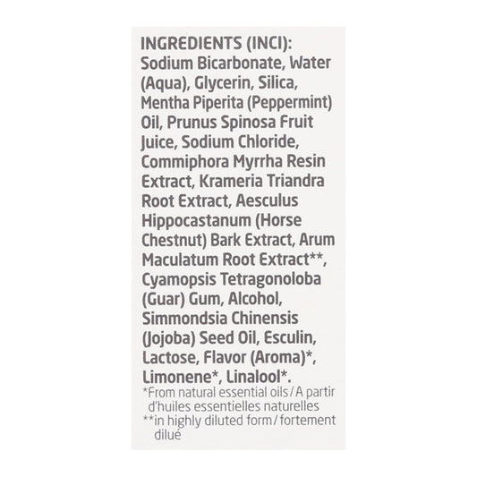 Weleda Salt Toothpaste Peppermint - 2.5 Oz