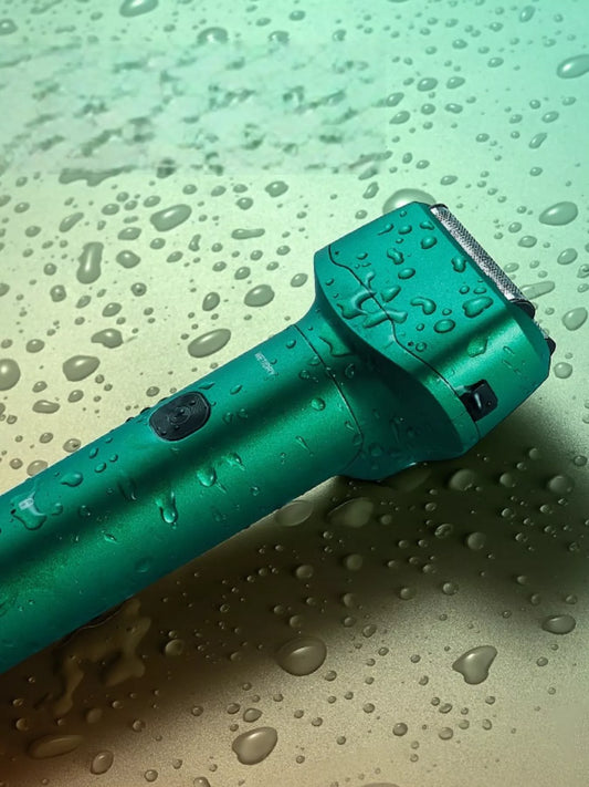 Portable Electric Shaver