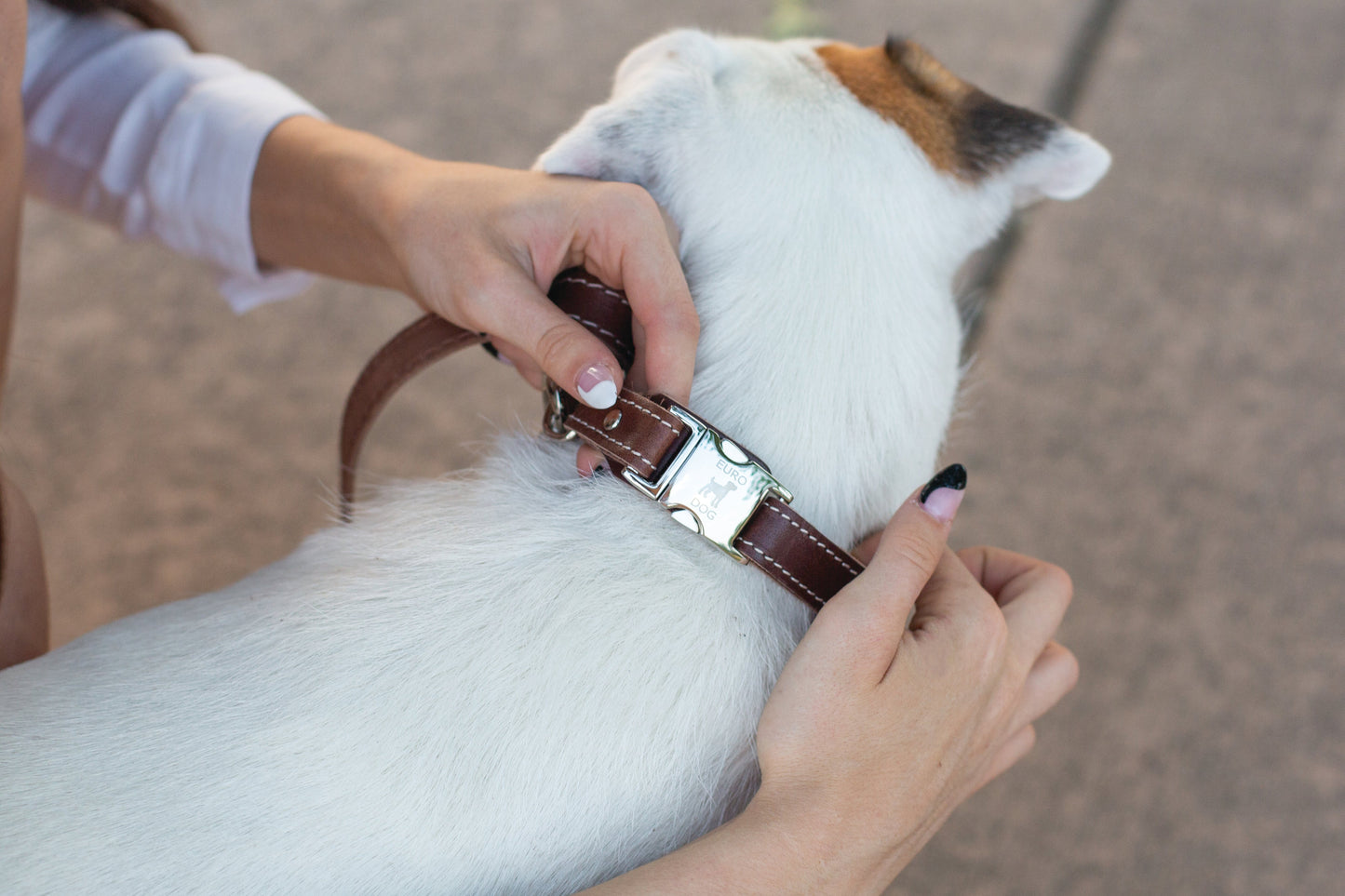 Pro Line Quick-Release Leather Dog Collar with Metal Buckle