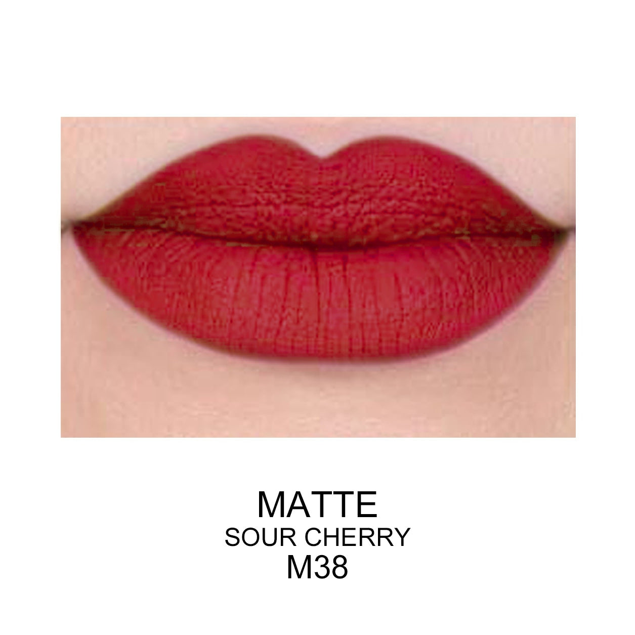 Best Matte Long Lasting Lip Gloss - Prolux