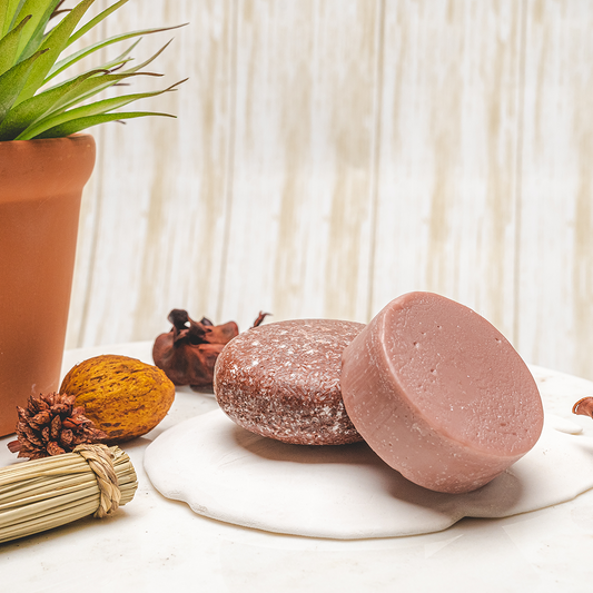 Argan Oil Shampoo & Conditioner Combo