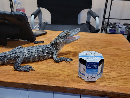 Goat's Milk Body Cream - Unscented