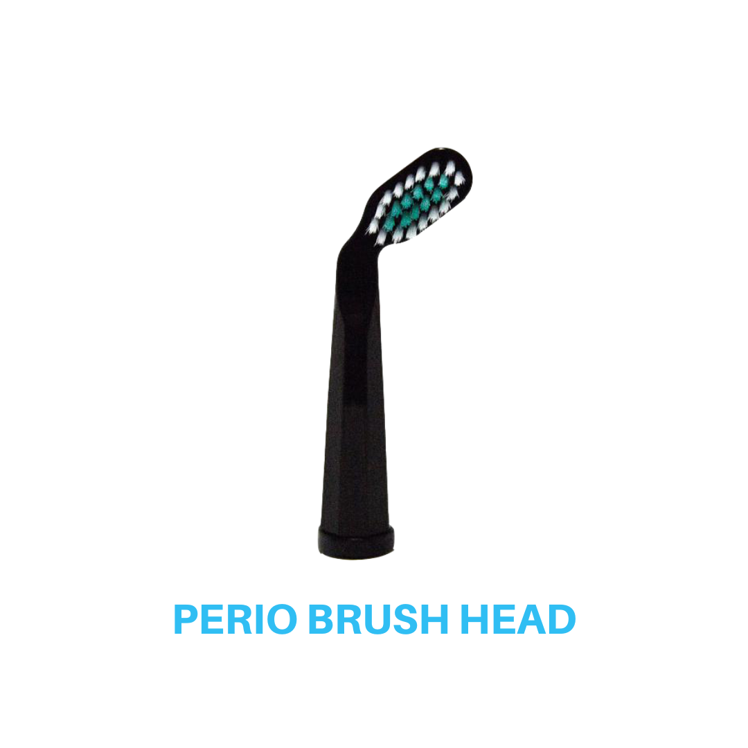 Curvy Y Sonic Toothbrush System