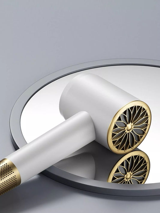 Multi-Speed Household Hair Dryer