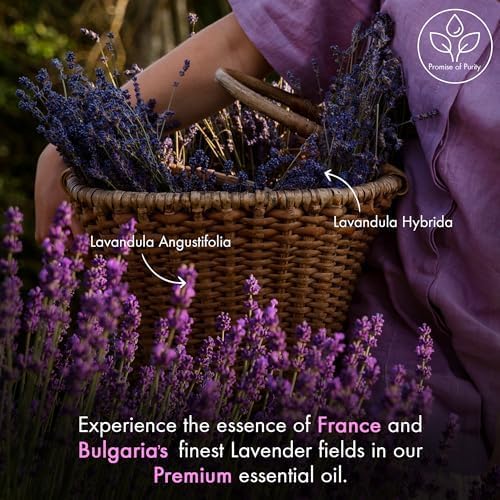 MAJESTIC PURE Lavender Essential Oil