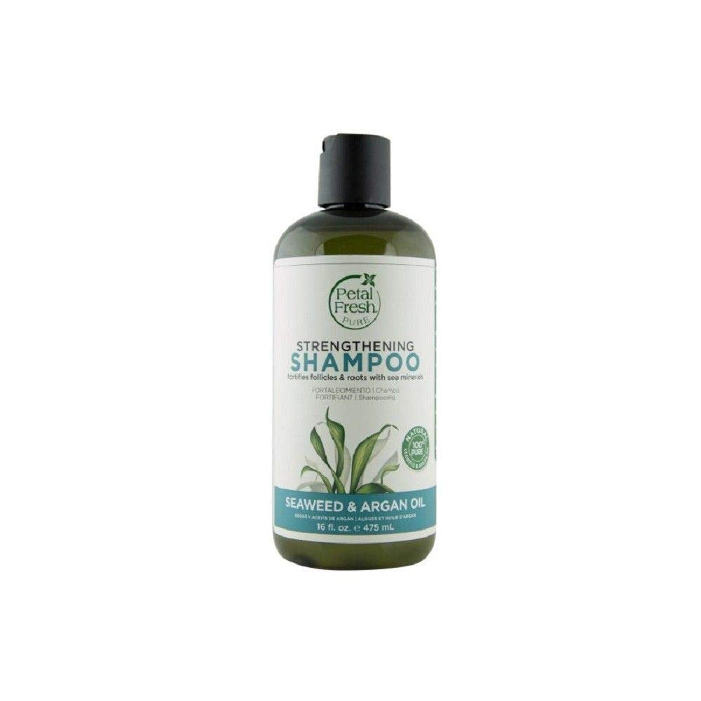 Petal Fresh Pure - Seaweed Argan Oil Shampoo, 16 fl oz (Pack of 6) - Volumizing and Hydrating