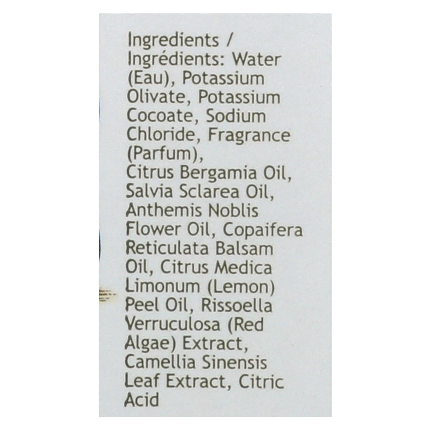 South of France Green Tea Hand Wash (8 Oz)