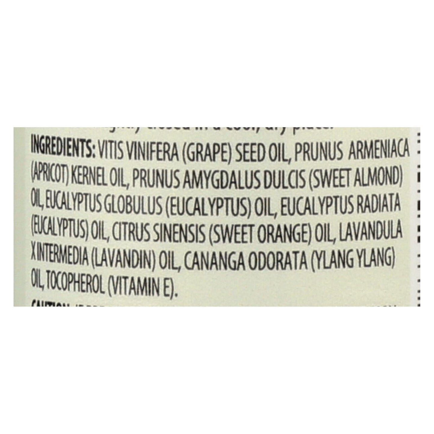 Aura Cacia Aromatherapy Bath, Body and Massage Oil - Eucalyptus Harvest 4 Fl Oz