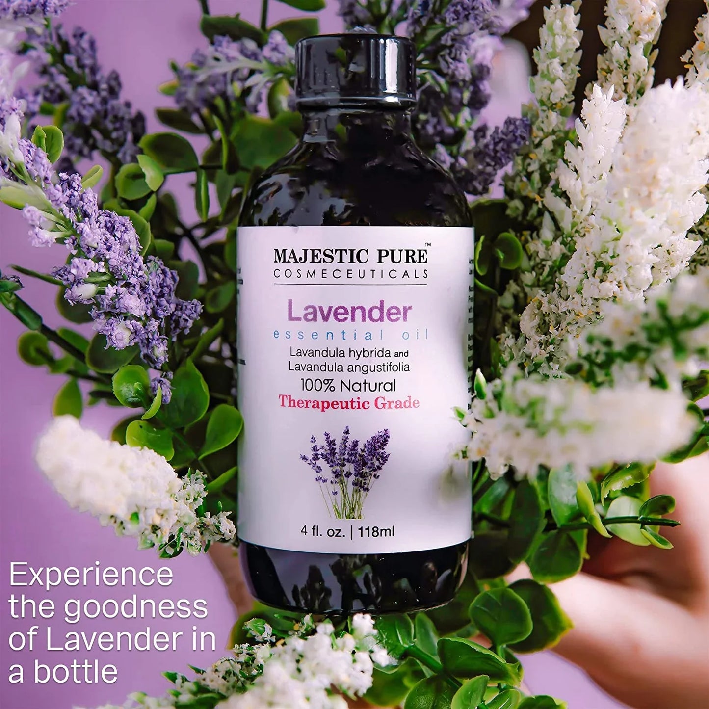 MAJESTIC PURE Lavender Essential Oil