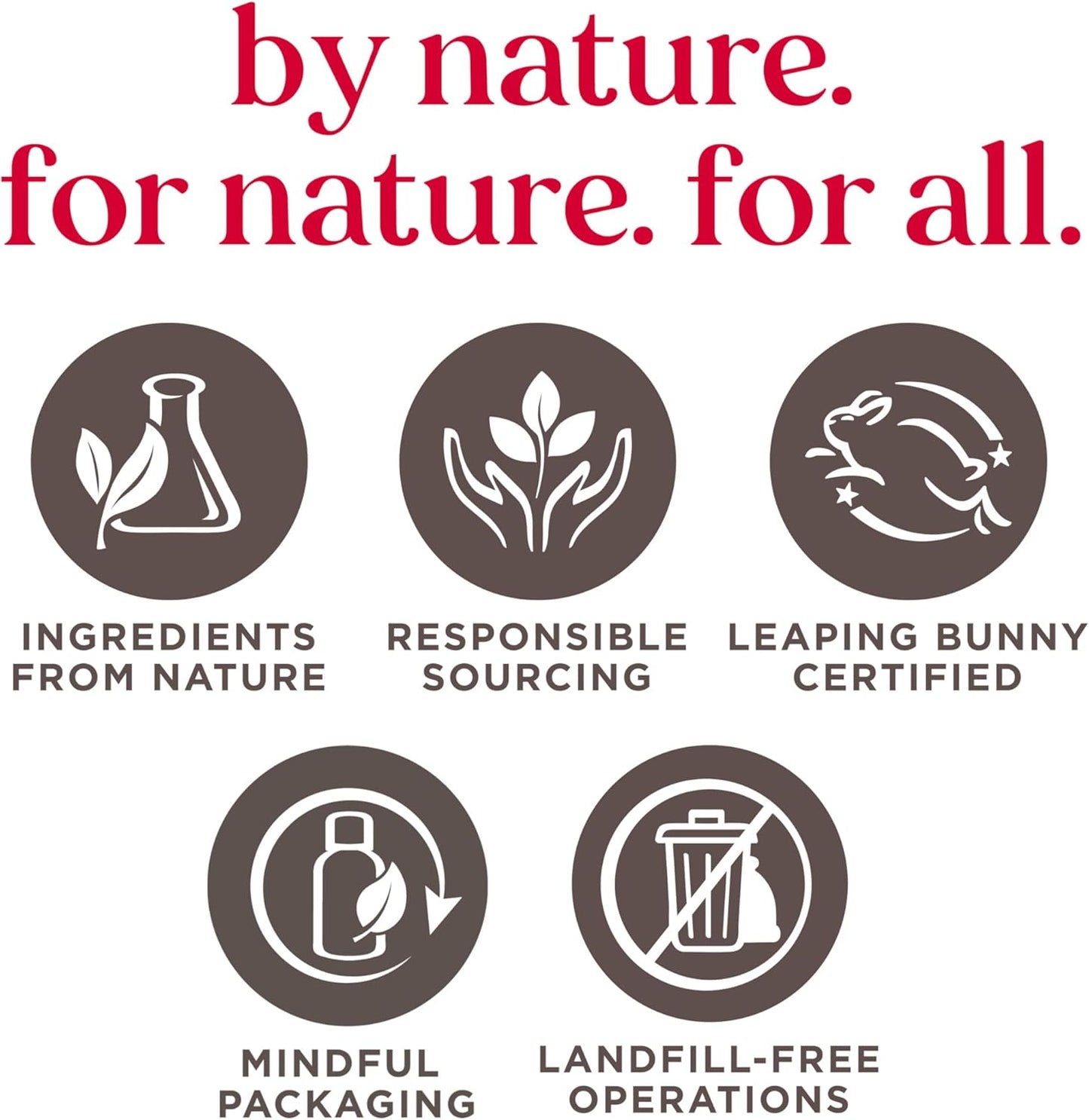 BURT'S BEES Power Brow Gel