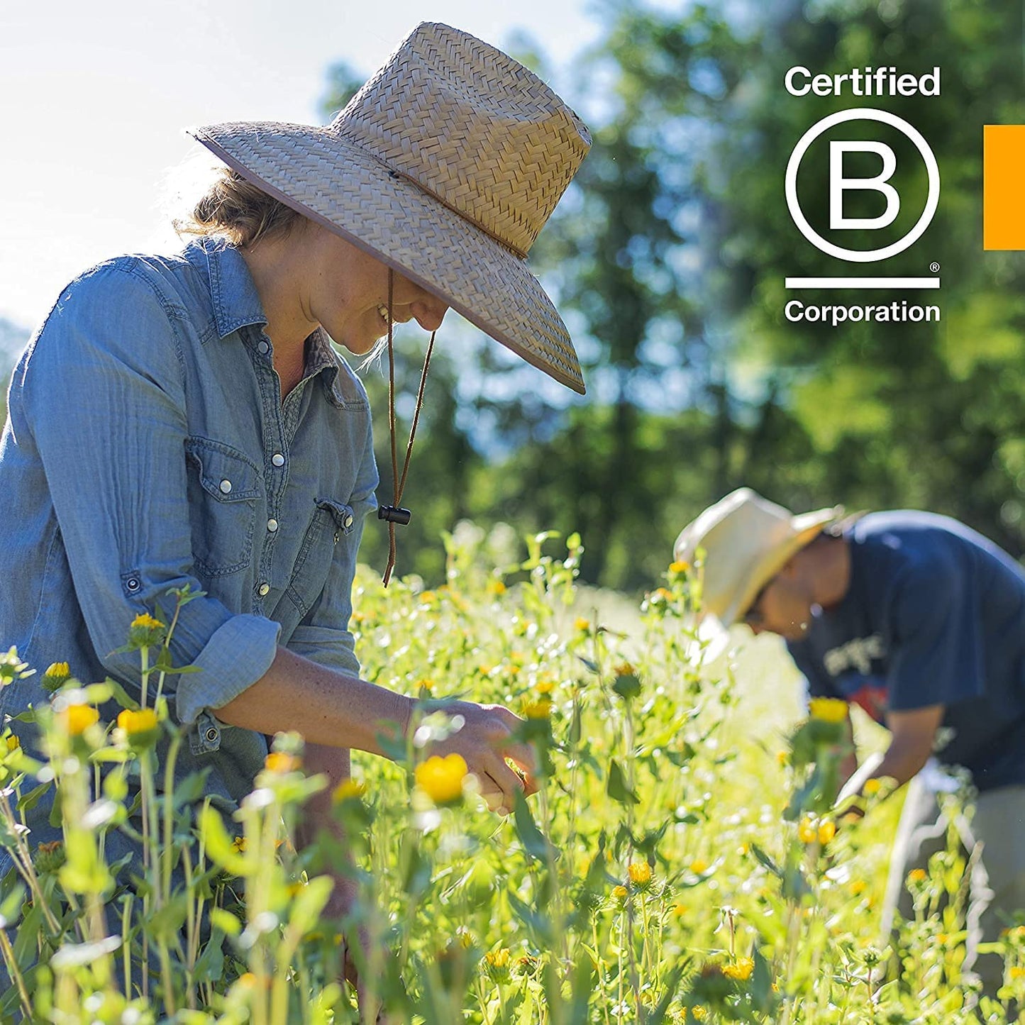 Herb Pharm Kids Ear Mullein Garlic Oil - Natural Earache Relief for Children - 1 Fl Oz