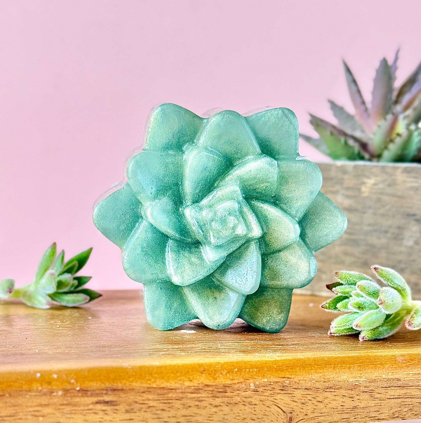 πΏ Evergreen Succulent β Vetiver & Bergamot