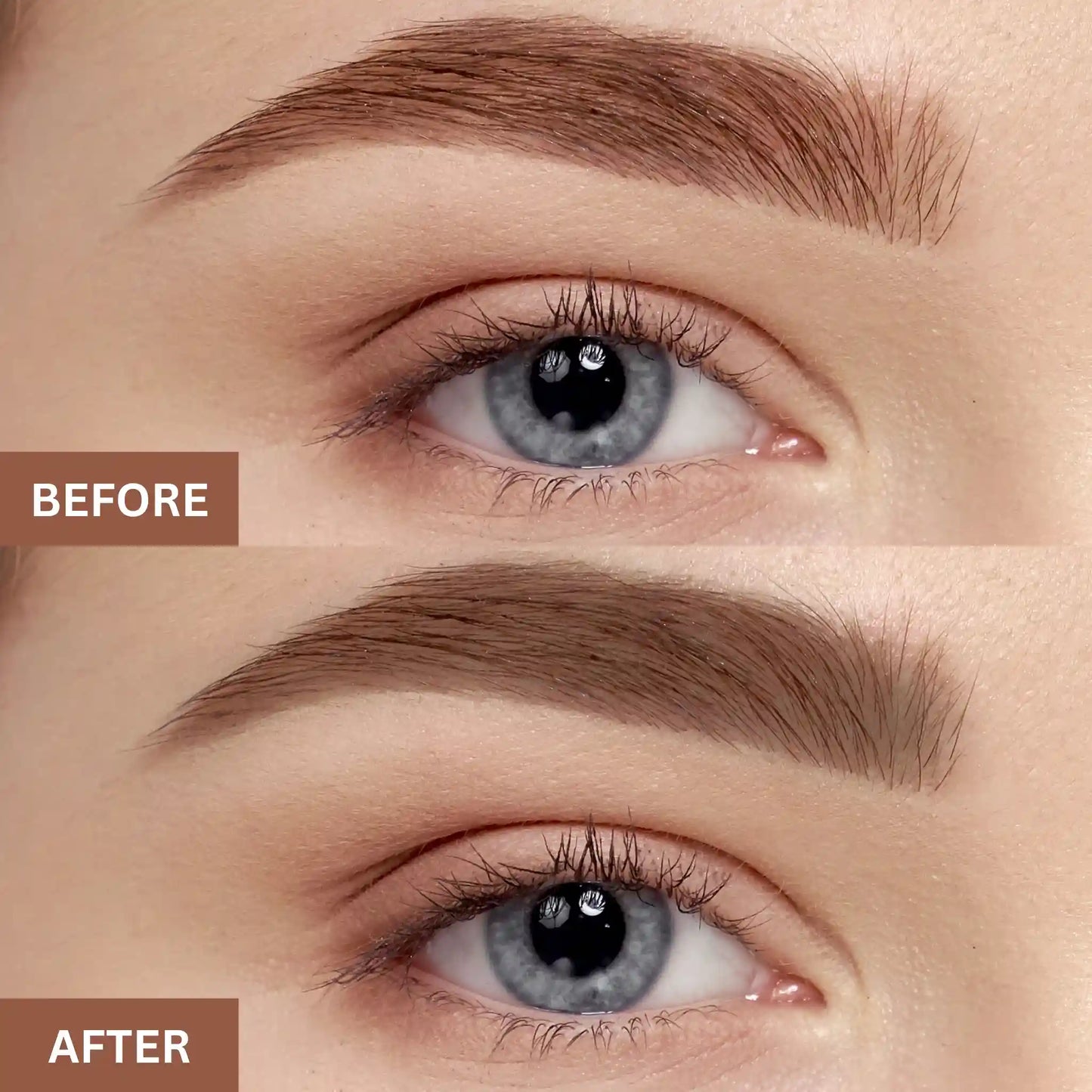 Eyebrow Gel and Powder