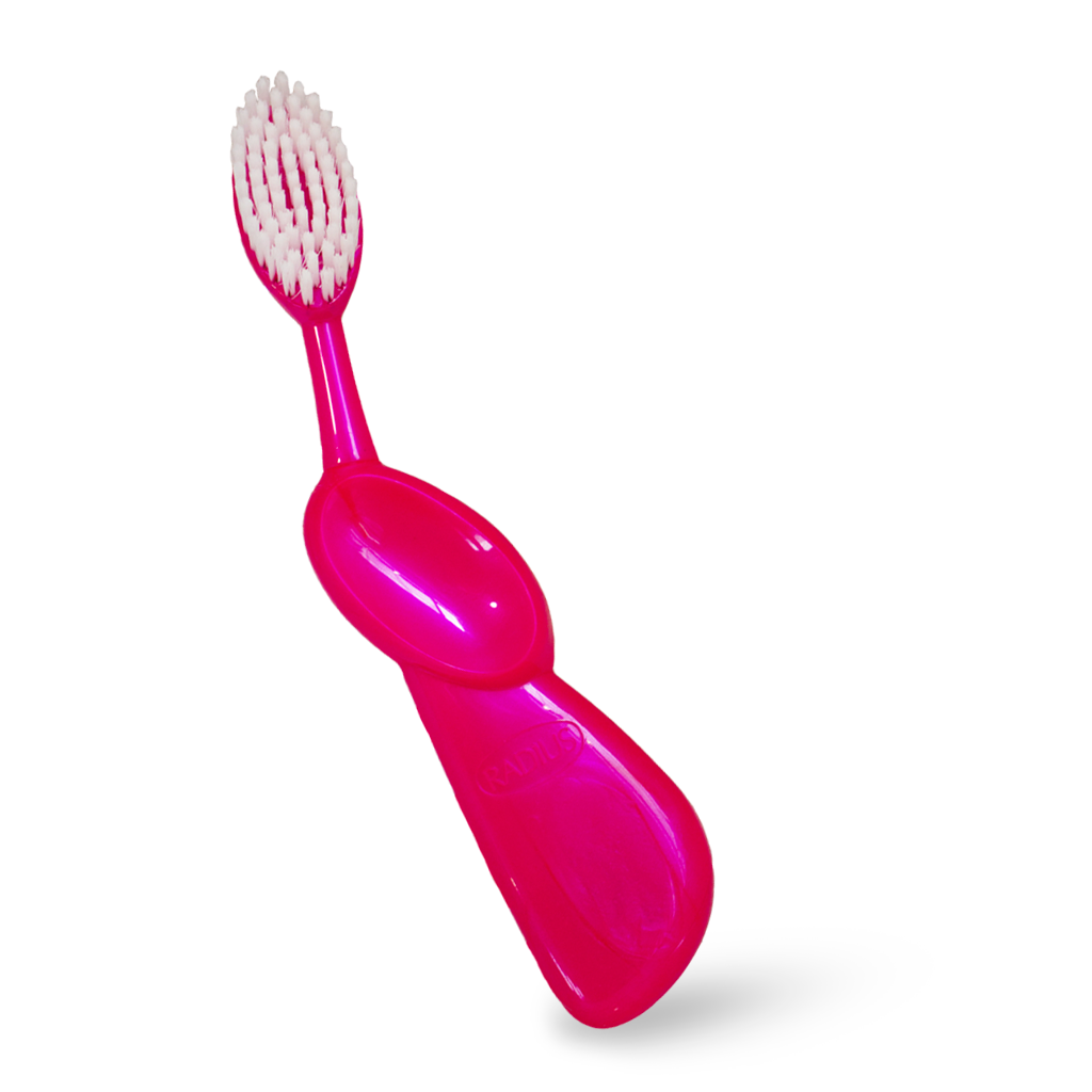 Big Brush with Replaceable Head Toothbrush