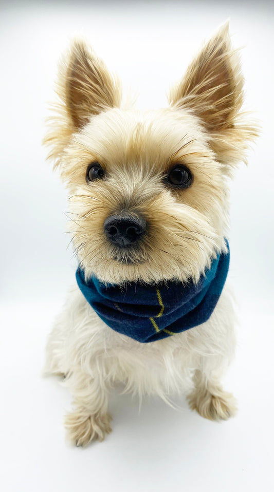 'Blair' Reversible Pet Snood