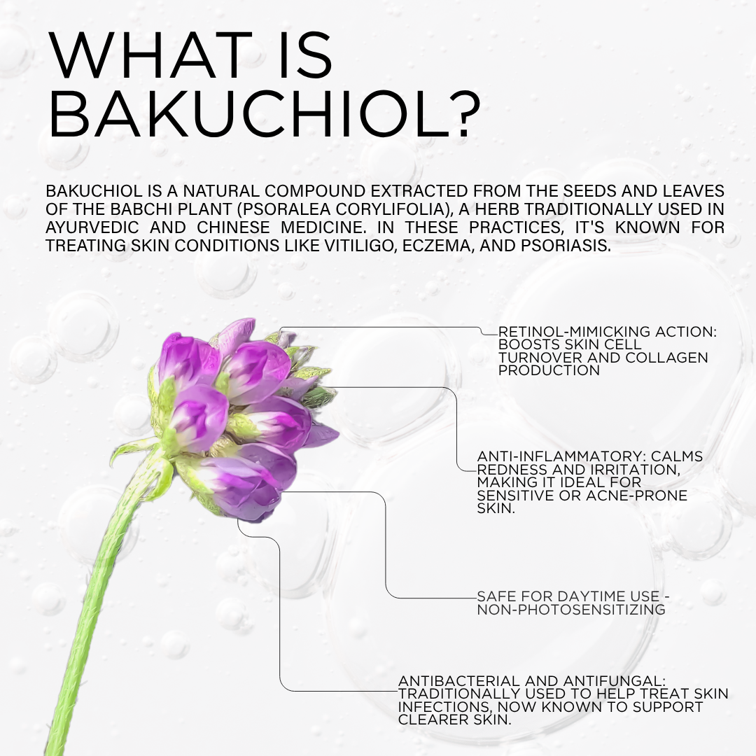 Bakuchiol Night Cream