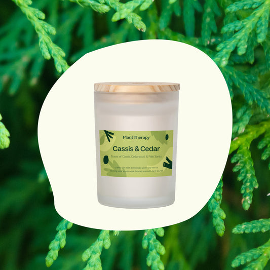 Cassis & Cedar Naturally Scented Candle