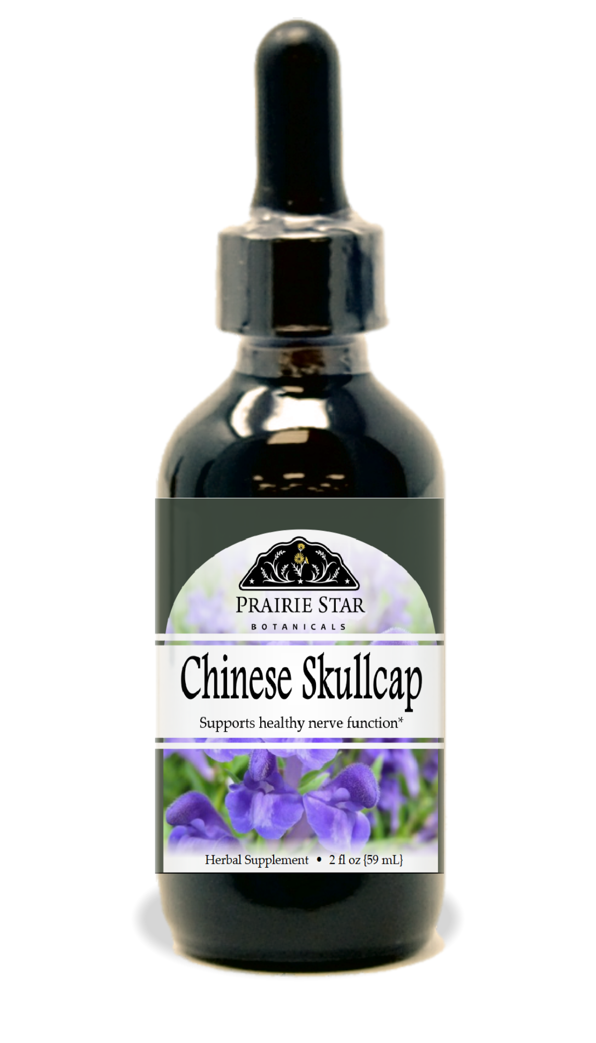 Chinese Skullcap