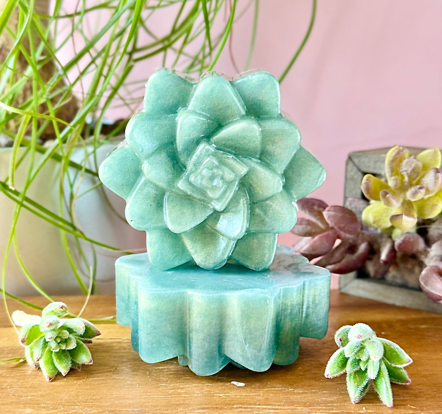 πΏ Evergreen Succulent β Vetiver & Bergamot