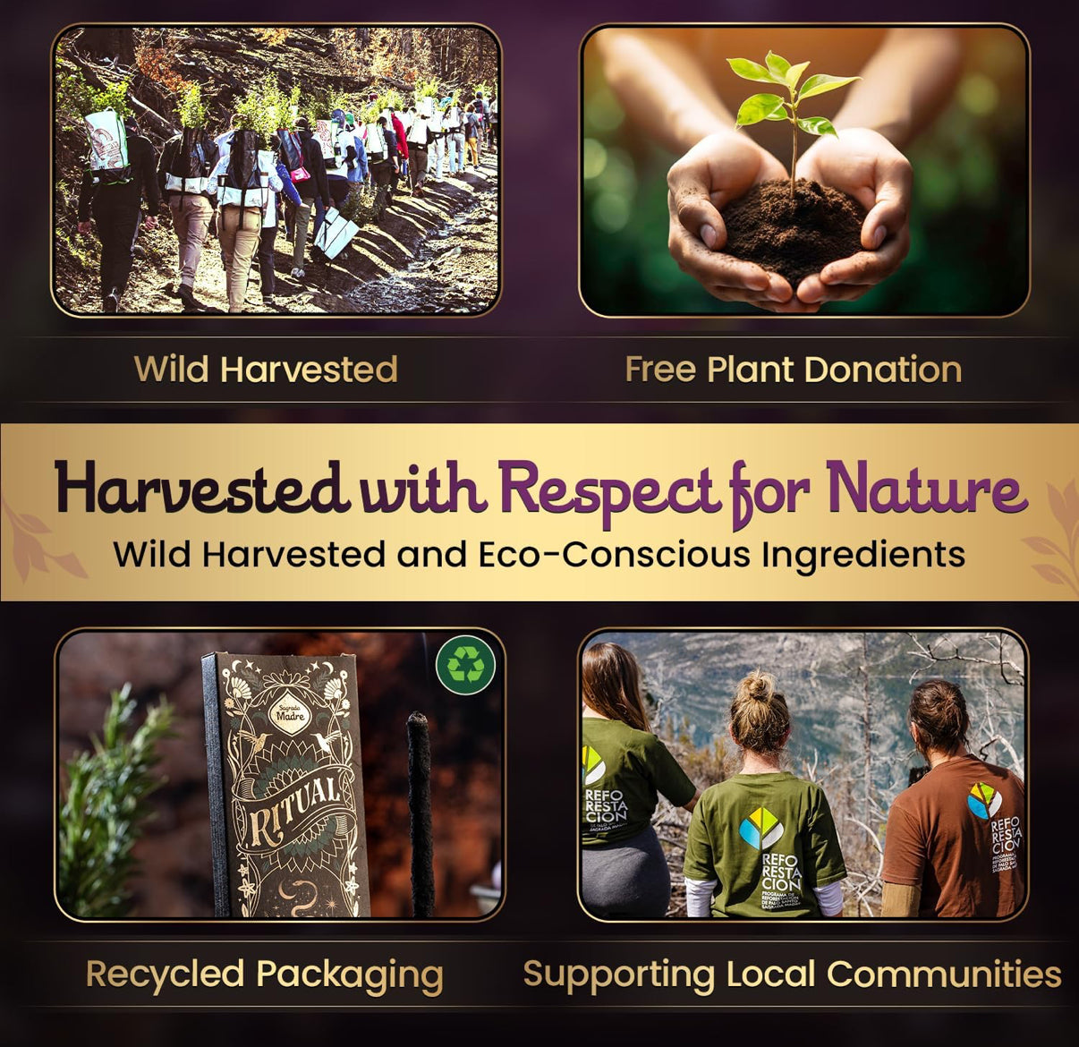 Tao Perfum Premium Incense Collection