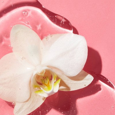 Saltair Curl Control Defining Shampoo 14 fl oz - Imperfect Container