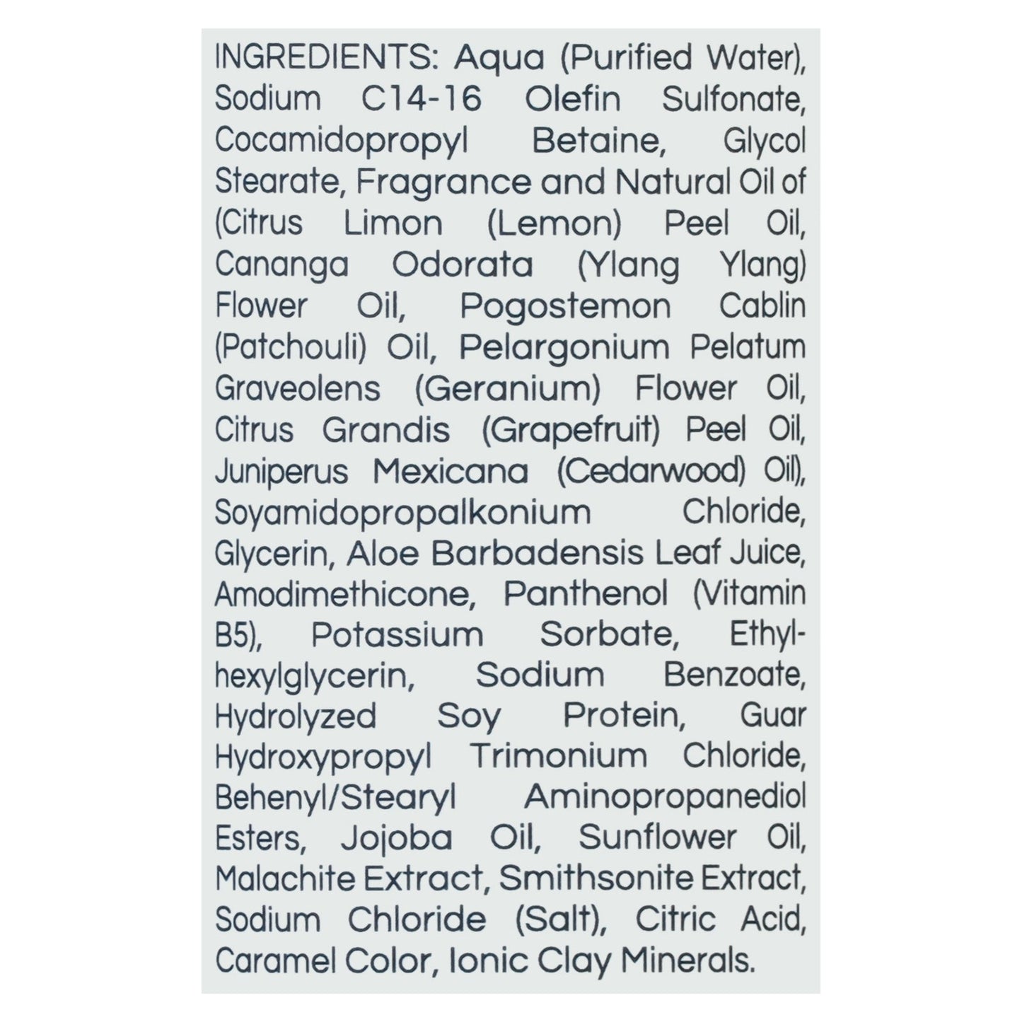 Zion Health Regenerate Minerals Shampoo - 16 Fl. Oz
