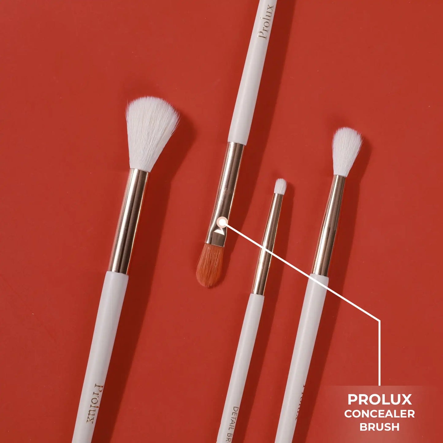 Prolux Makeup Concealer Brush