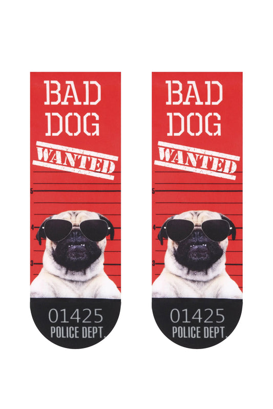 Dense Socks Conte Fantasy 006 - Bad Dog Design