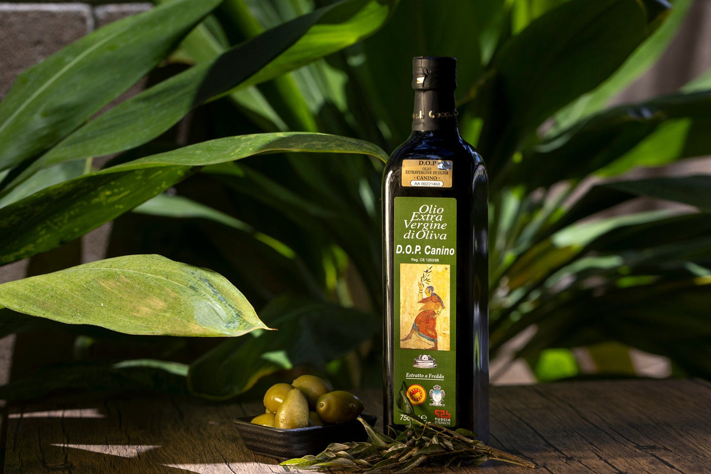 DOP Canino Organic Extra Virgin Olive Oil 500 ml (16.9 fl oz) Taycte