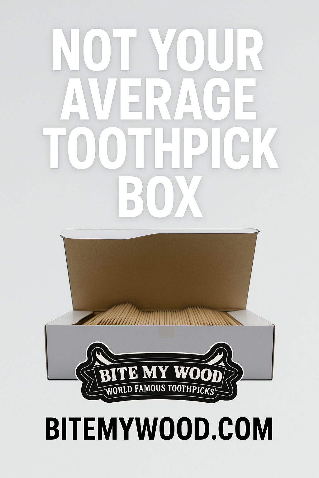 1000 Qty Double Point Birchwood Toothpicks In Cardboard Reusable Box BiteMyWood Brand