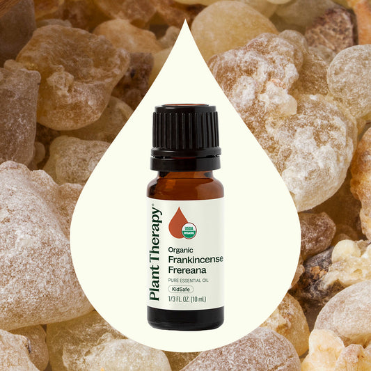 Organic Frankincense Frereana Essential Oil