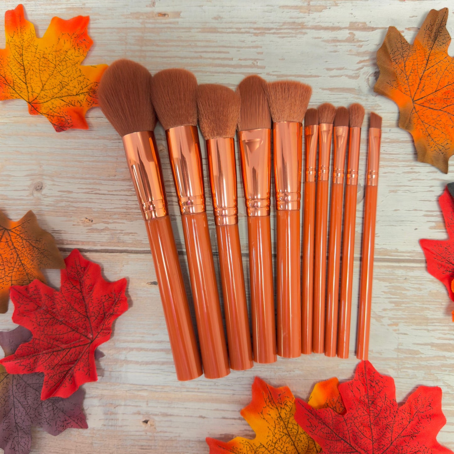 Makeup Brush Set - 10 Piece Makeup Brush Collection