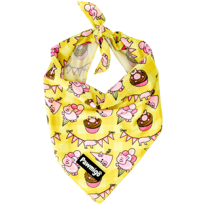 Pig Out Bandana