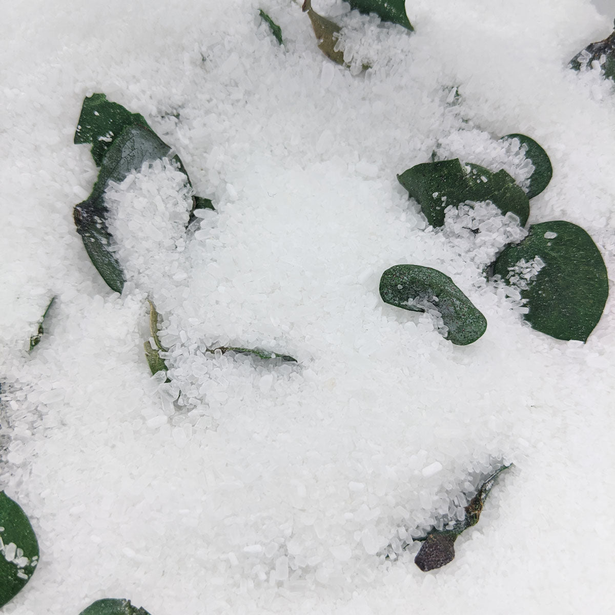 Feeling Groovy Bath Soak/Body Scrub