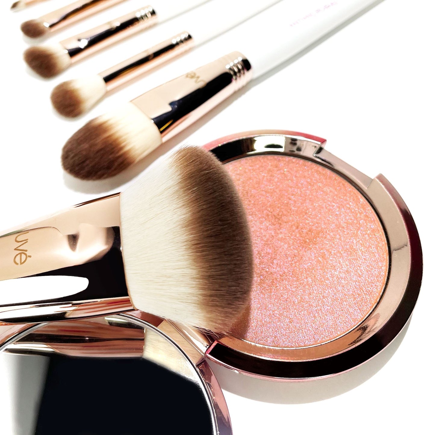 Professional Antimicrobial Brush Set (11+)