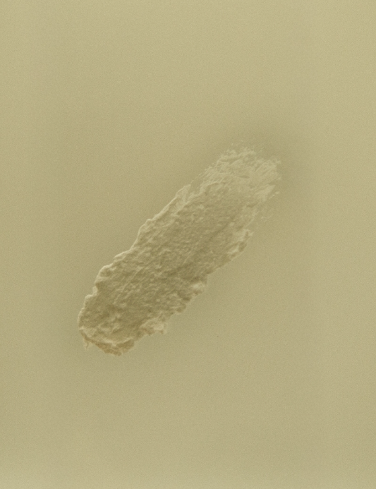 Bay Rum Beard & Body Butter for Men | Natural Tallow Moisturizer