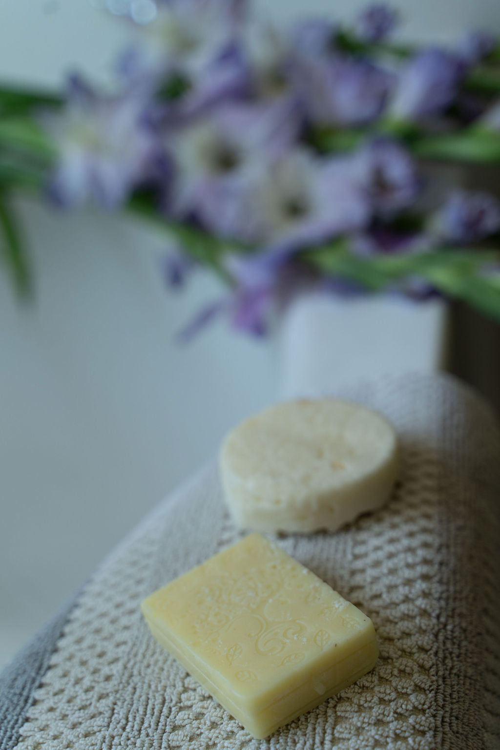 Shampoo and Conditioner Bar Set