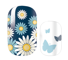 Daisy's and Butterflies