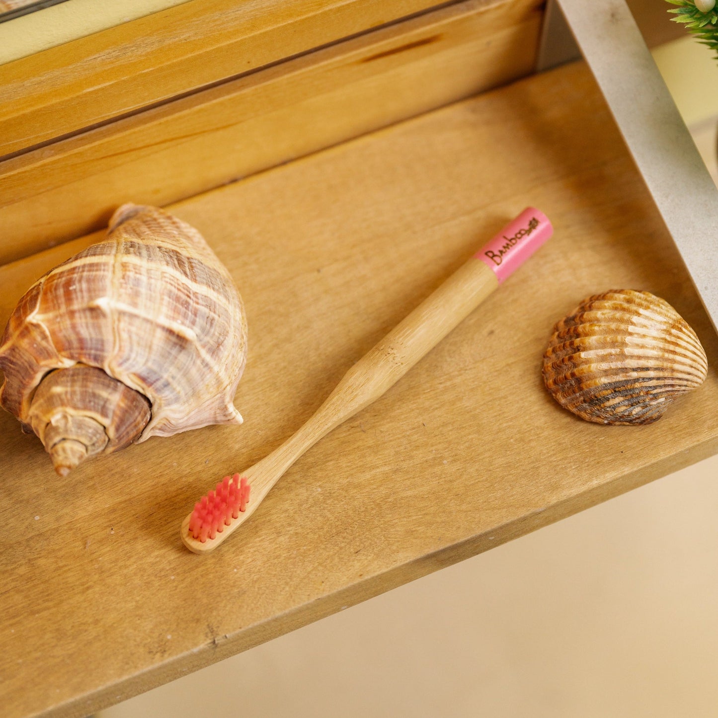 Bamboo Kids Toothbrush | Round Handle