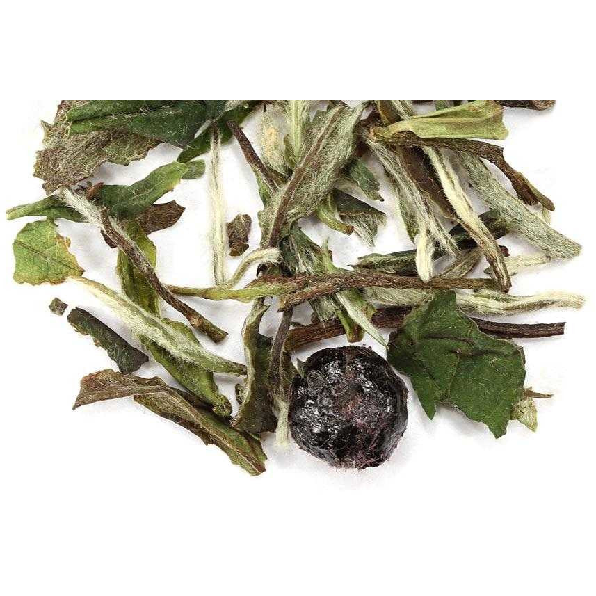 Wizard's Familiar: Raven!