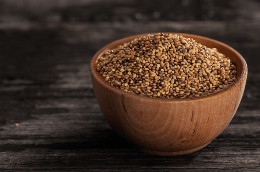 Clover Seeds, Red, Organic