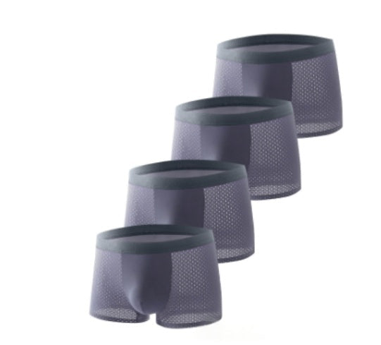 Silky mesh boxer briefs