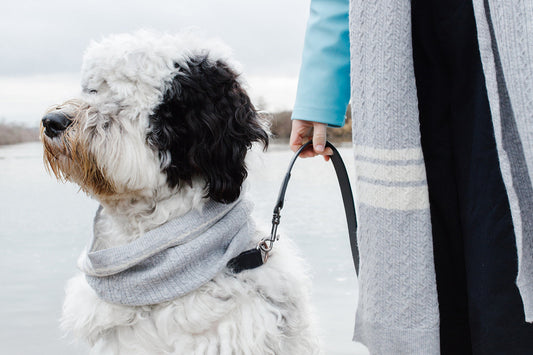 Cashmere Blend Scarf sets for Pets and their humans, Heather Grey