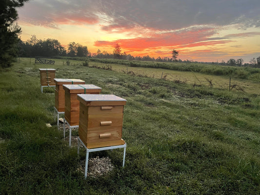 Cinnamon Creamed Whipped Honey