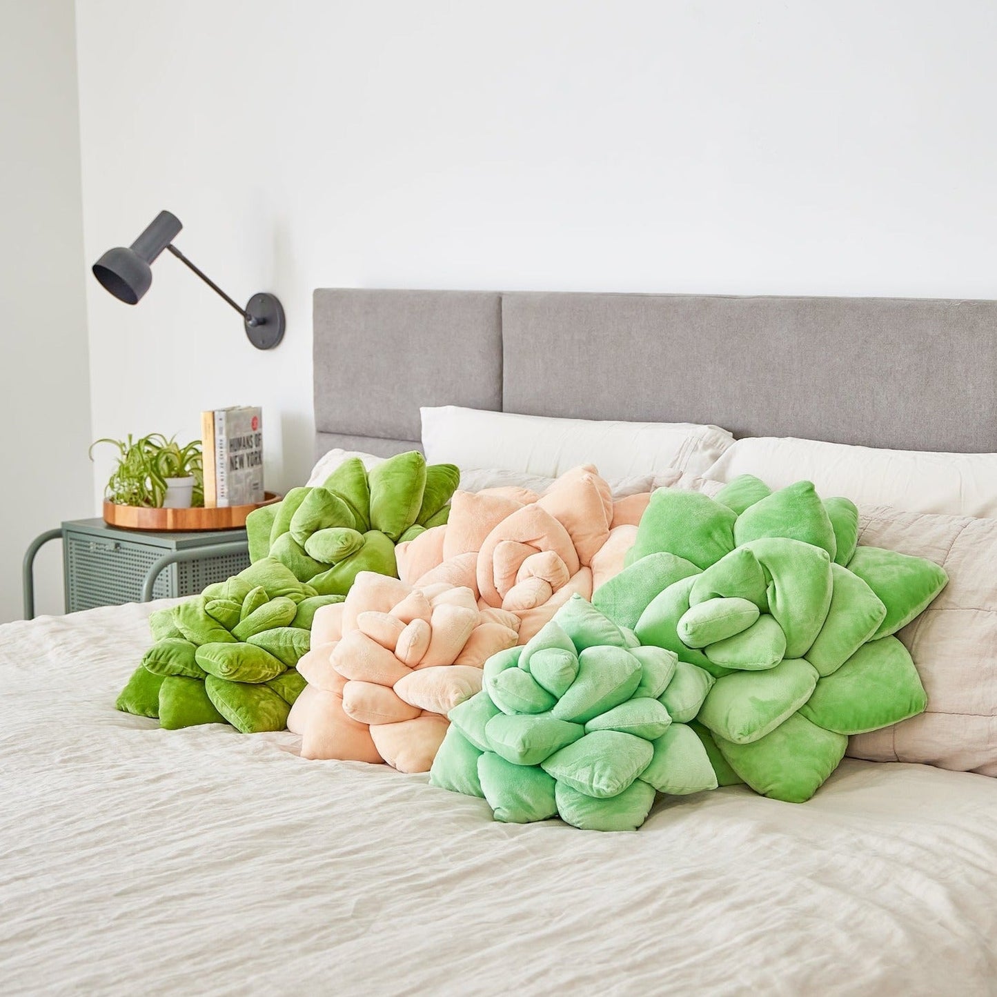Lil' Pop Succulent® - Sage Green