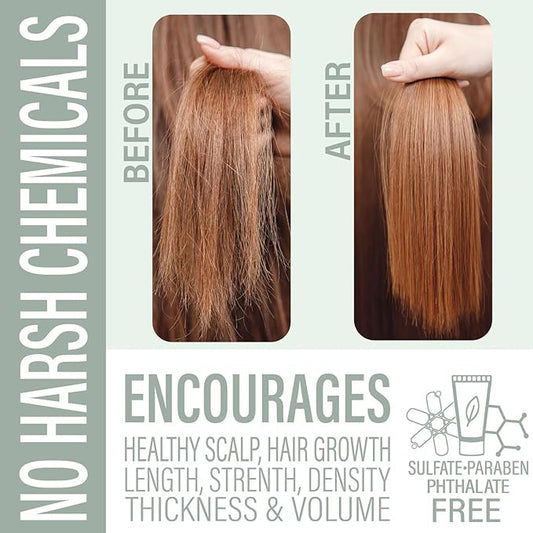 Tea Tree Mint Shampoo Bar - Camping Bar