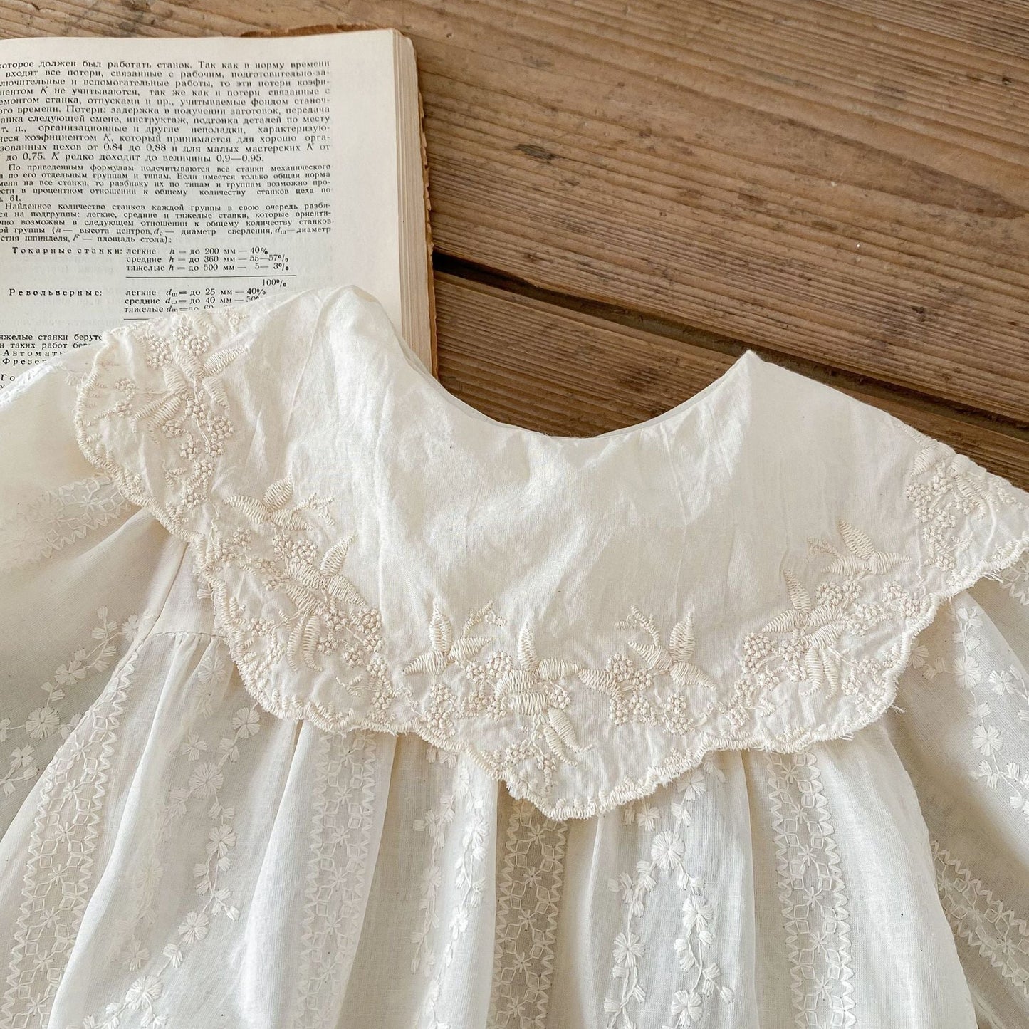 Autumn Baby Girls Flowers Embroidered Pattern Long-sleeved Onesies and Dress – Princess Sister Matching Set