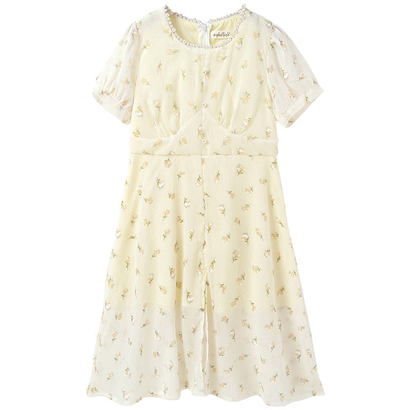 Arrival Summer Kids Girls French Style Chiffon Fashion Short Sleeves Floral Dress