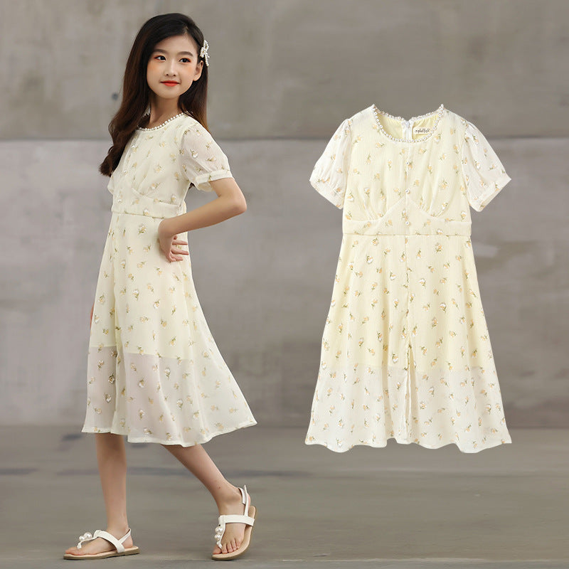 Arrival Summer Kids Girls French Style Chiffon Fashion Short Sleeves Floral Dress