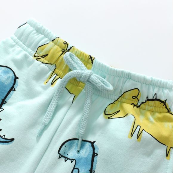 Baby Boy All Over Dinosaur Pattern Hoodie And Shorts Sets